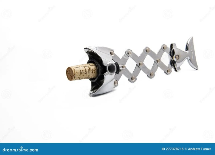 Unusual corkscrew. stock image. Image of studio, stainless - 277378715